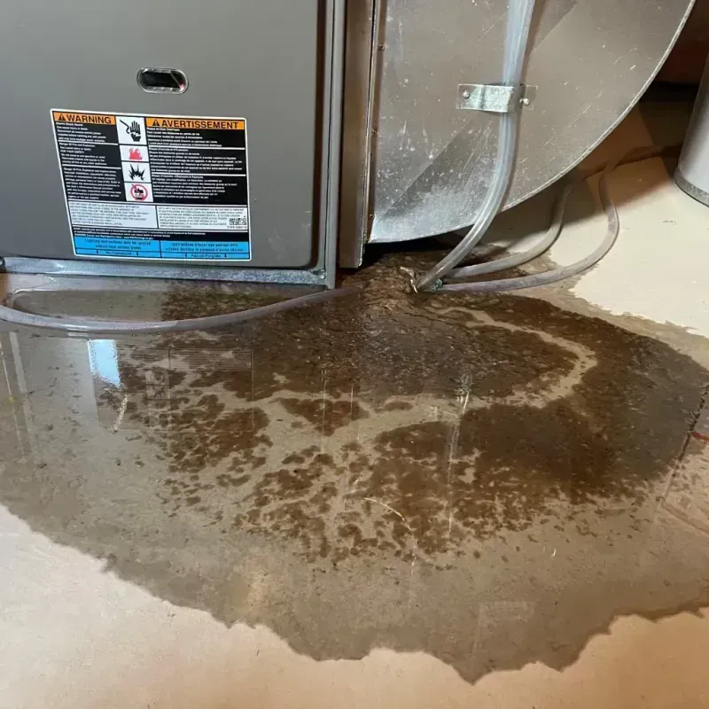 Appliance Leak Cleanup in Cadillac, MI